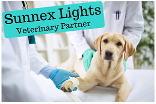 HousePaws Mobile Veterinary Service – Lighting Partner