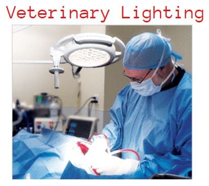 January – A Fresh Start – Veterinary Lighting