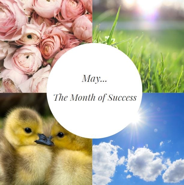 Sunnex Medical and Task lights. May - The Month of Success